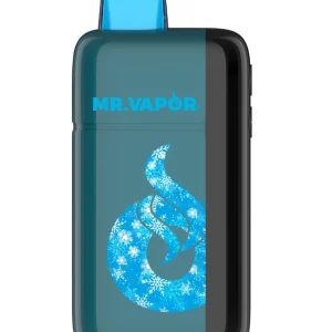 Mr. Vapor Arctic - 30,000 Puff Disposable Vape